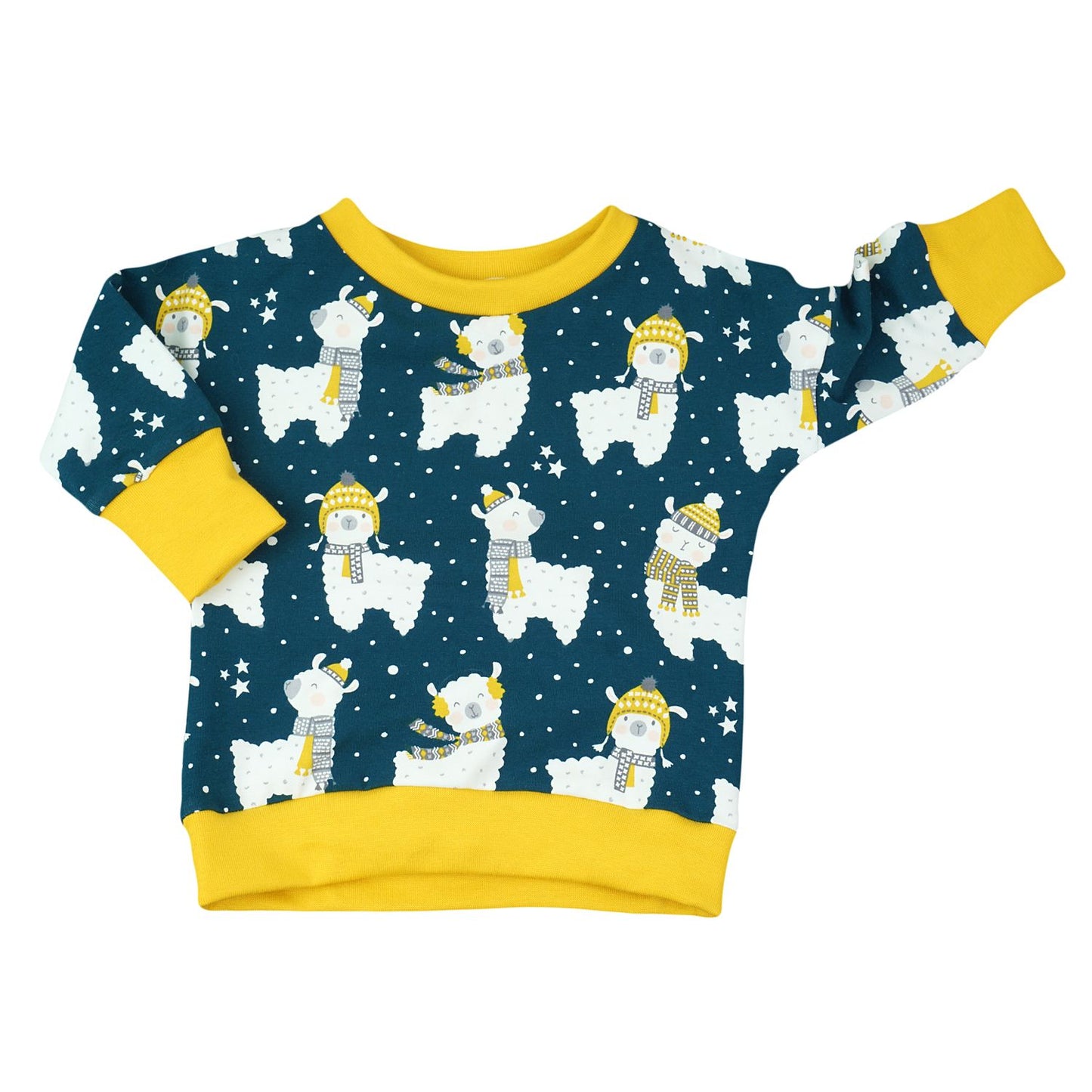 BIO Langarmshirt "Winter Lama"