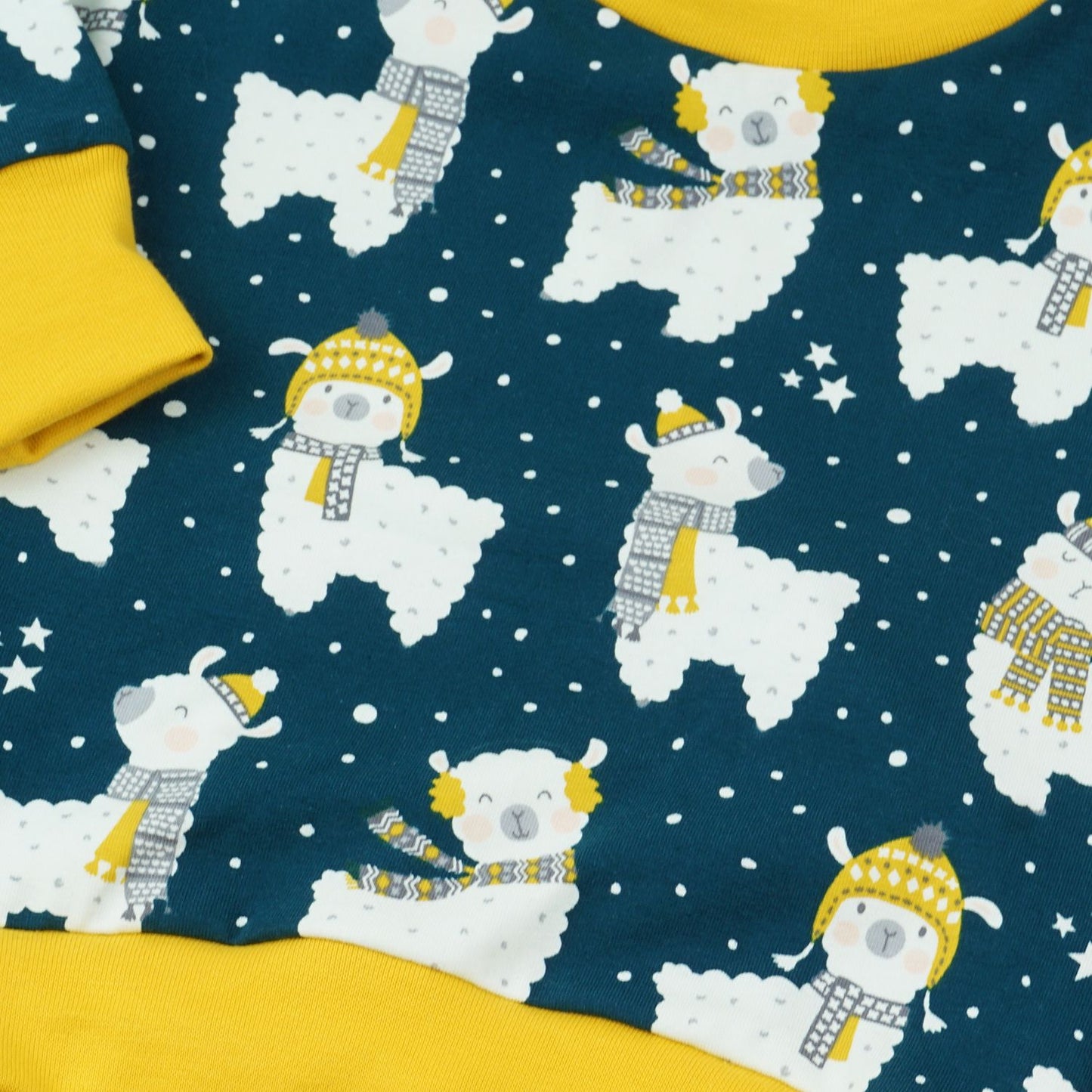 BIO Langarmshirt "Winter Lama"